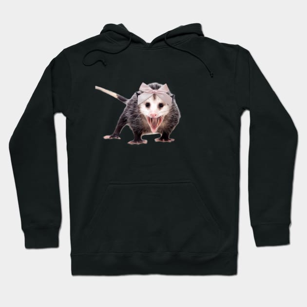 Coquette raccoon Hoodie by Agape Art